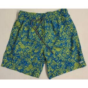 Speedo Men's Blue/Green Pineapple Swim Trunks Lined Sz S Drawstring 7"